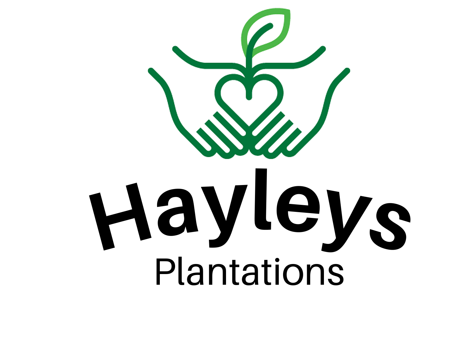 Hayleys Plantations Logo